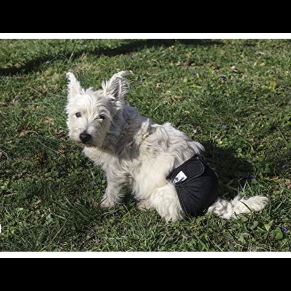 Pet Doggie Pet Diapers
